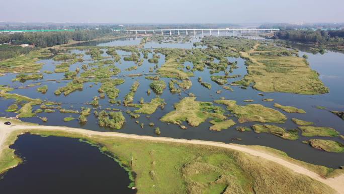 山东省临沂沭河湿地风景航拍