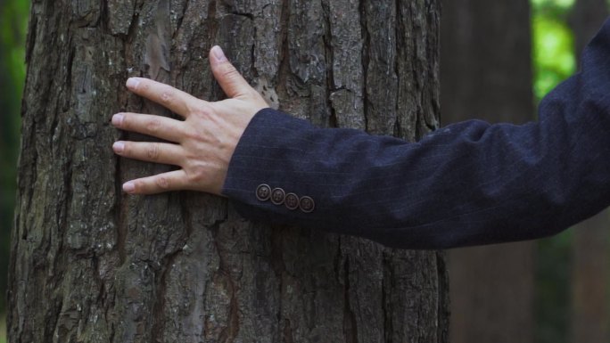 用手触摸大树特写爱护森林广告亲近自然意境