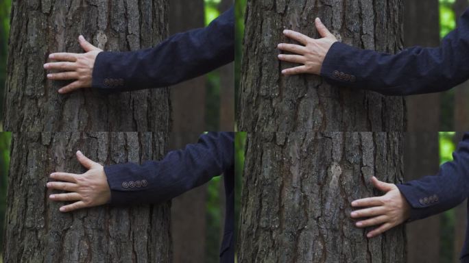 用手触摸大树特写爱护森林广告亲近自然意境