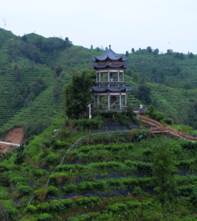 高清竖屏环绕航拍凌云茶山茶仙亭