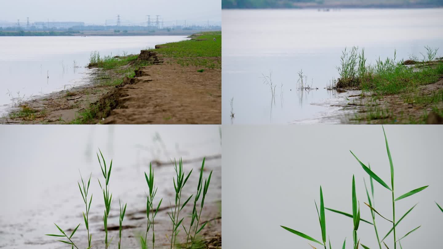 黄河岸边行走