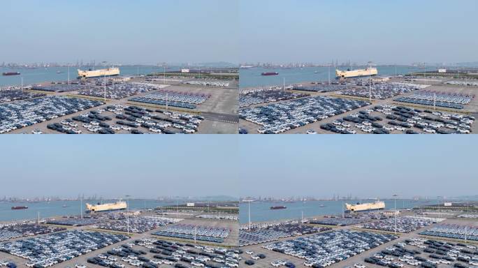 航拍南沙汽车码头密集的汽车群
