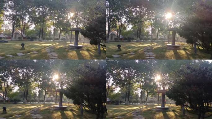 早晨 树林 阳光透过 绿光 草坪树林阳光