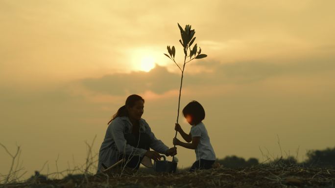 母亲和女儿在晚上种树。