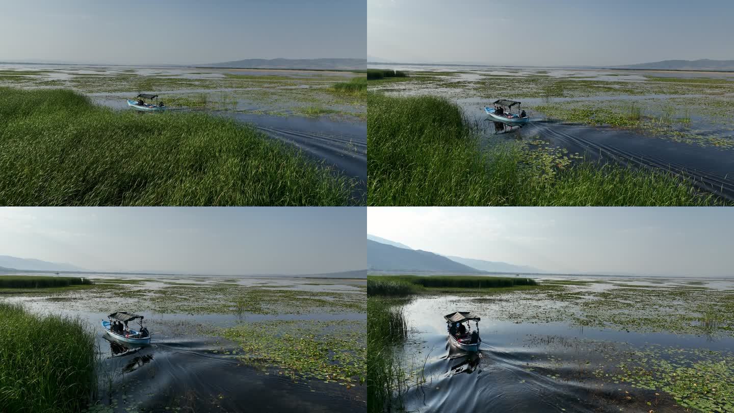 与人同行的船、穿过芦苇的船、人们乘船旅行、木船旅行、带芦苇和荷花的船上的人、河上独木舟的鸟瞰图、河上