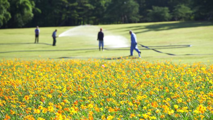 城市绿化 浇水 绿植养护 养护绿化