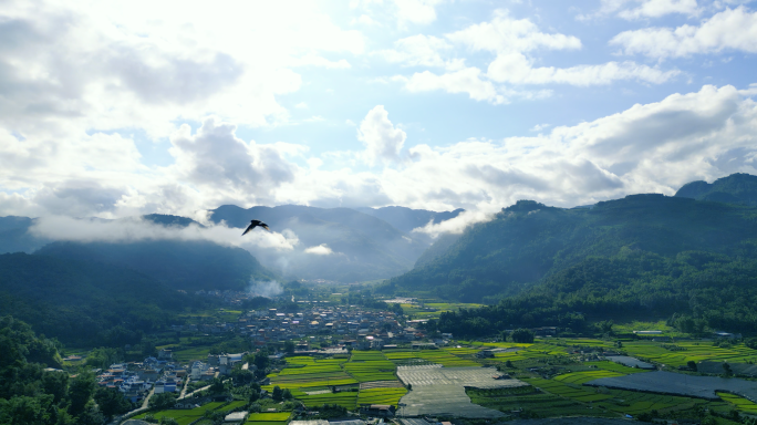 云南德宏芒市田野 勐焕大金塔 乡村 城市