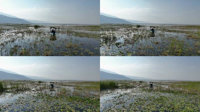 与人同行的船、穿过芦苇的船、人们乘船旅行、木船旅行、带芦苇和荷花的船上的人、河上独木舟的鸟瞰图、河上