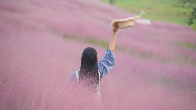 4K粉黛乱子草花海中的少女