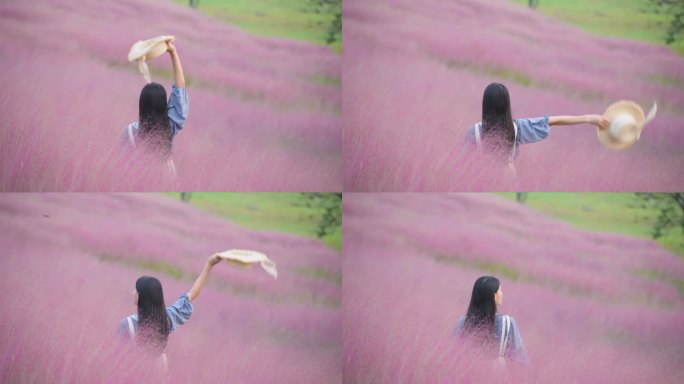 4K粉黛乱子草花海中的少女