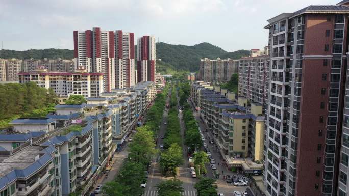 白花洞村 白花社区 光明白花路 城市大景