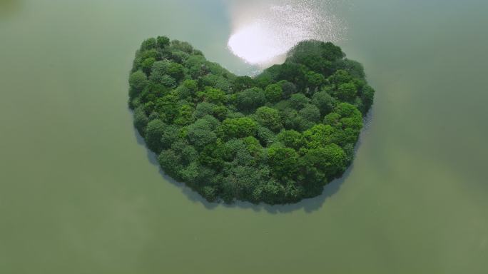 【原创】5K绿岛湖中心岛爱心岛航拍