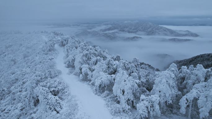 杭州临安大明山牵牛岗雪景云海航拍