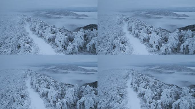 杭州临安大明山牵牛岗雪景云海航拍