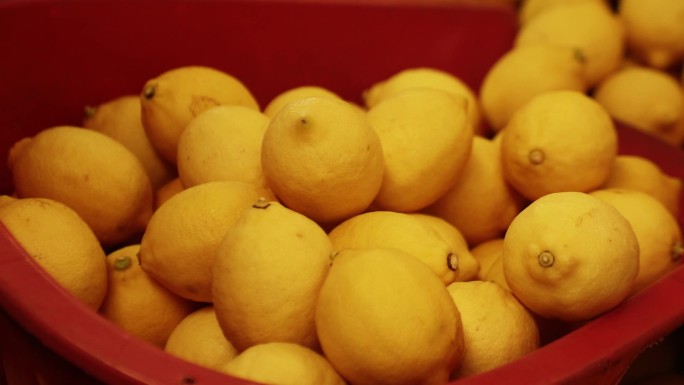 车间里的黄橙橙的安岳黄柠檬鲜果