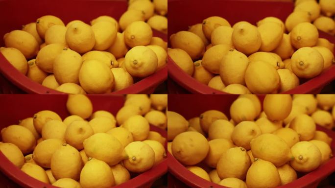车间里的黄橙橙的安岳黄柠檬鲜果
