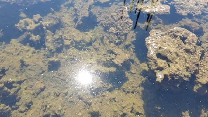 废水死水潭水污染废水水沟里的污水池塘死水