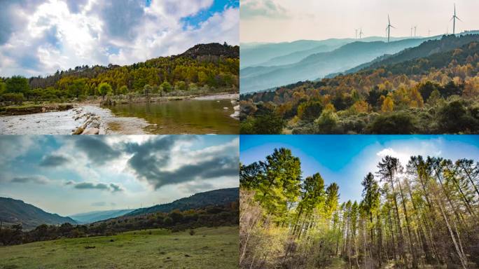 6k山里金黄秋景延时风光枫叶松林色彩云朵