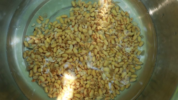 水中清洗黄豆