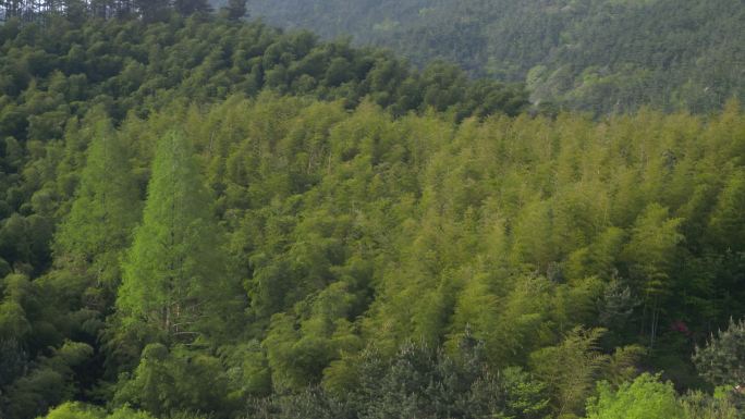 水面 河水  远山