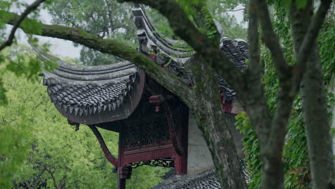 古典园林建筑雨景