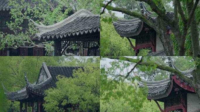 古典园林建筑雨景