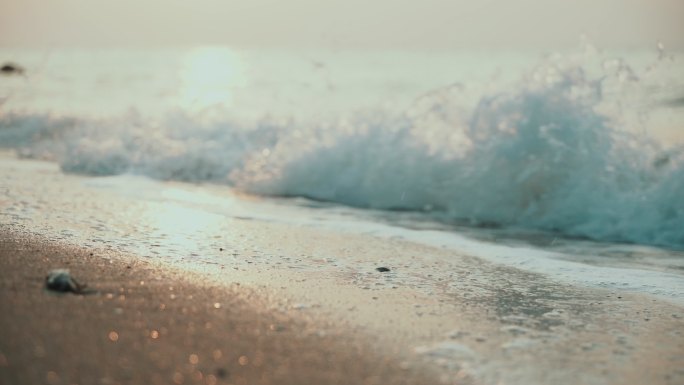 大海和海滩时光流逝往昔峥嵘岁月