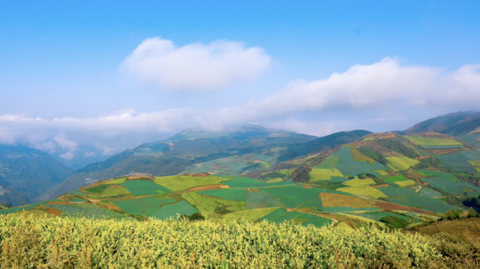 五彩高山田野俯瞰延时航拍4K