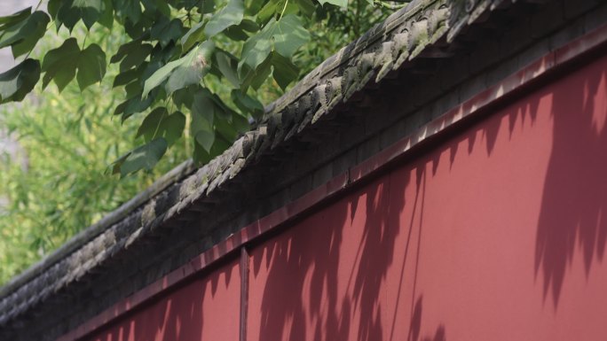 竹影红墙光影树影古建筑中国风古风寺庙阳光