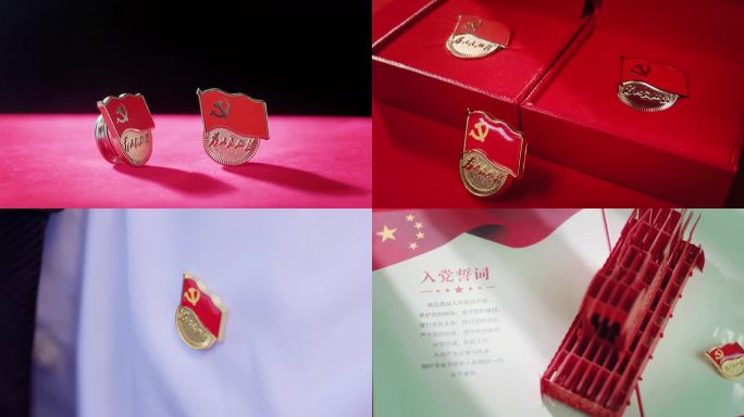 【4K】唯美党徽光影胸前党徽南湖红船剪纸