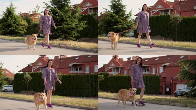 一个安静的年轻女子走在人行道上，牵着一条顺从的纯种狗，一条金色的猎犬