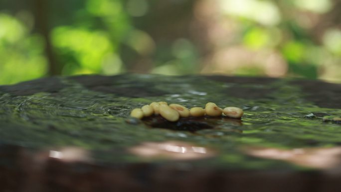 石磨磨豆浆