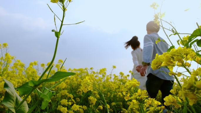 七夕情侣浪漫爱情幸福夫妻约会美好生活牵手