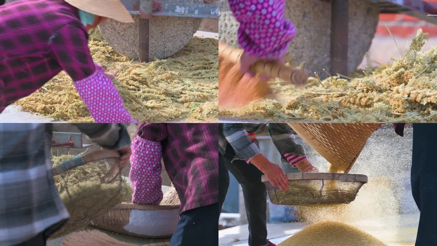 中国农村农民丰收碾子碾轧小米谷物筛子脱壳