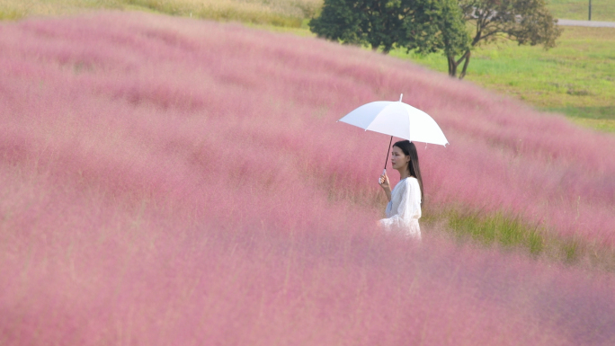 4K粉黛乱子草花海中漫步的少女