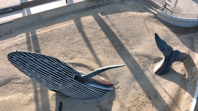 【大疆御3】烟台海滩鲸鱼雕像