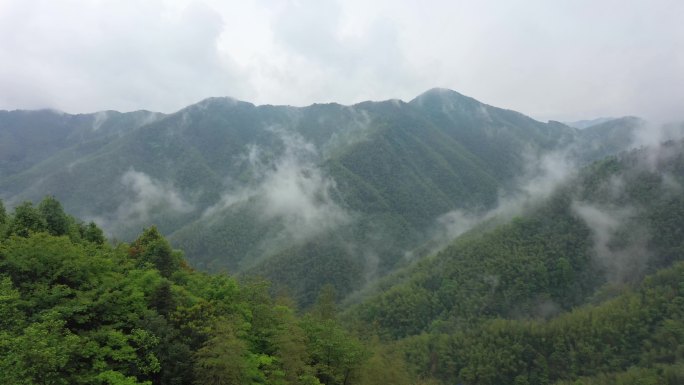 云海 山 雾气  森林 大自然