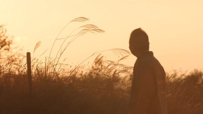 伤感 夕阳下的年轻人