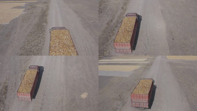 4K航拍临泽玉米晾晒运输丰收log原素材