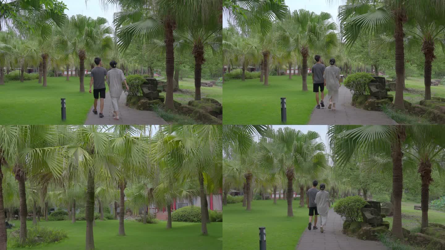 情侣牵手在棕榈树下散步背影