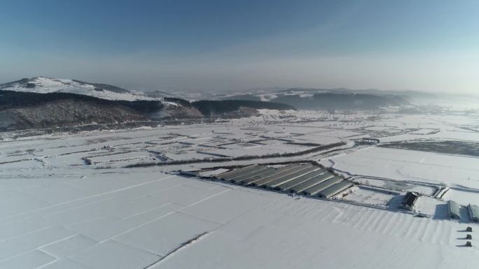 东北雪地蔬菜大棚