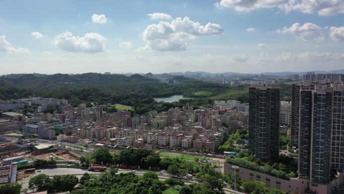 上木古村 龙岗平湖 甘坑水库 平湖生态园