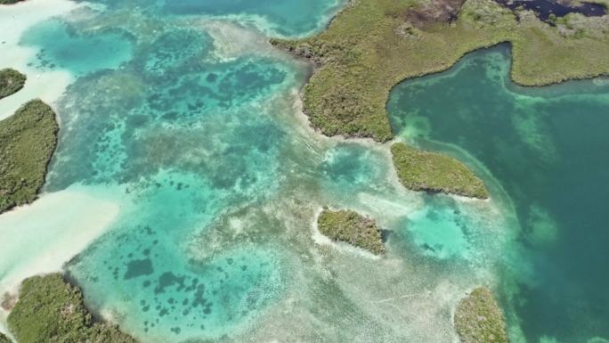 加勒比海海岸线鸟瞰图，在珊瑚礁和浅绿松石水域之间有红树林