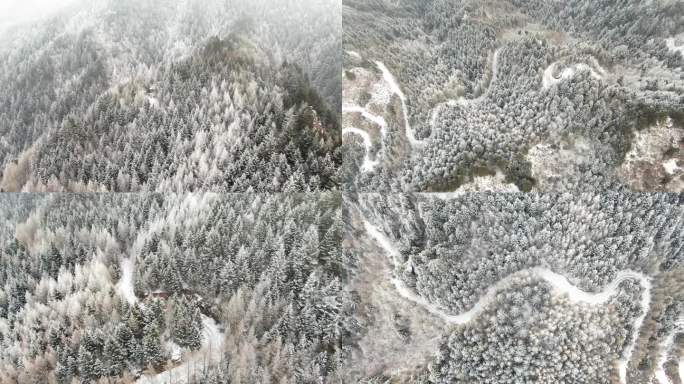 雪山森林雪景冰挂雾凇芦芽山穿越雪地