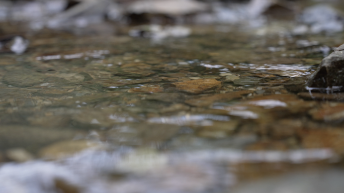 慢速升格 山泉小溪水流