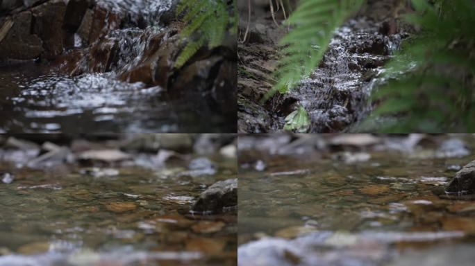 慢速升格 山泉小溪水流