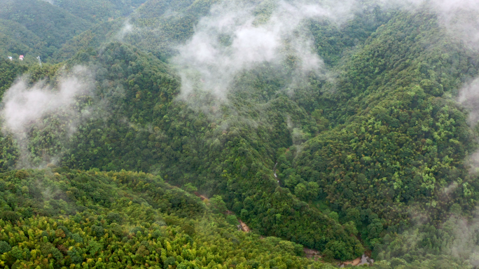 山川 云雾森林 云层