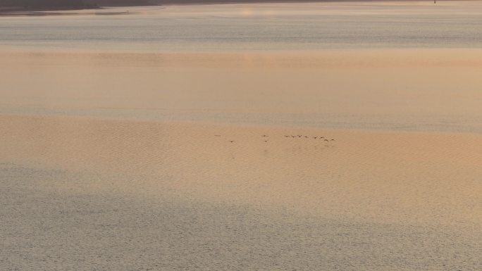 日出朝霞照耀在海面上