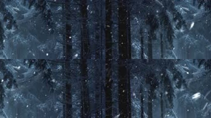 高清雪夜森林