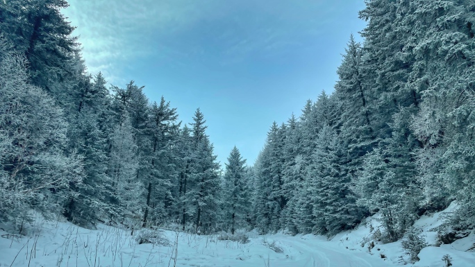 雪山森林雪景冰挂雾凇汽车越野车穿越雪地